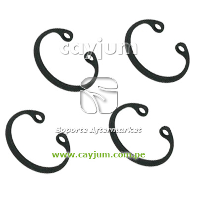 SEGURO SNAP RING INT