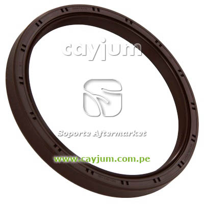 RETEN CIGUEÑAL POSTERIOR