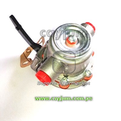 BOMBA CEBADORA O DE ALIMENTACION